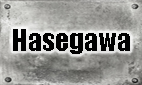 Hasegawa model kits