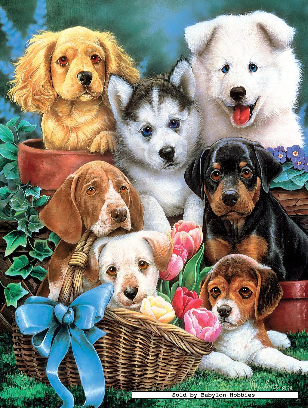 puppy puzzle 750 pcs jigsaw puzzle newland puppy pals dogs masterpieces 61120 ebay puppy puzzle 750 pcs jigsaw puzzle newland puppy pals dogs masterpieces 61120 ebay